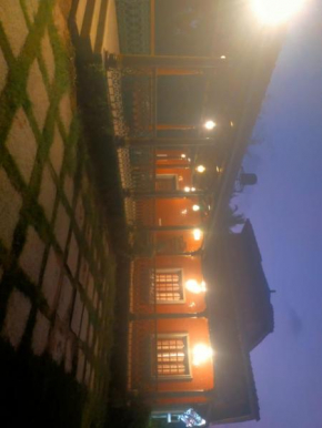 Chennai Heritage Villa